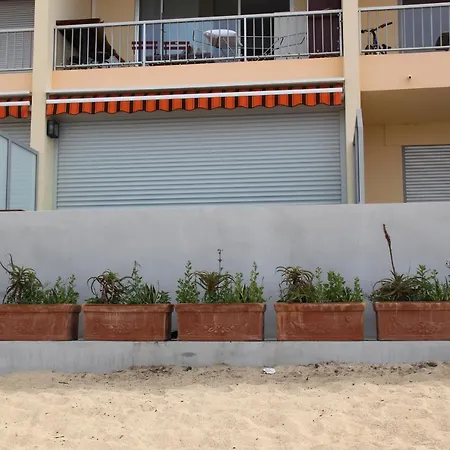 Studio Pieds Dans L'Eau Ajaccio  Exterior photo